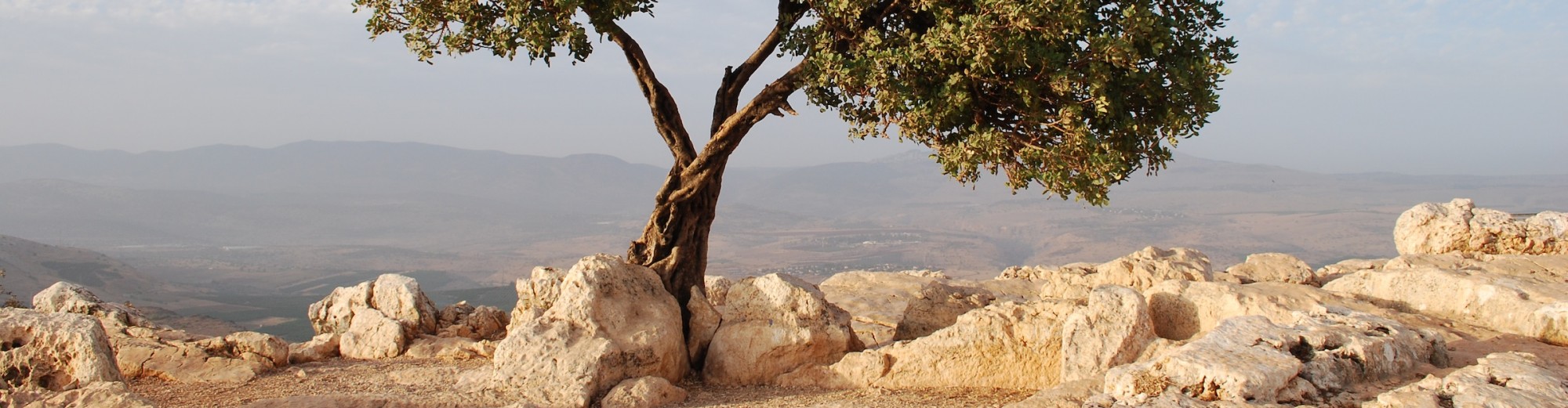 Christian Bible Study