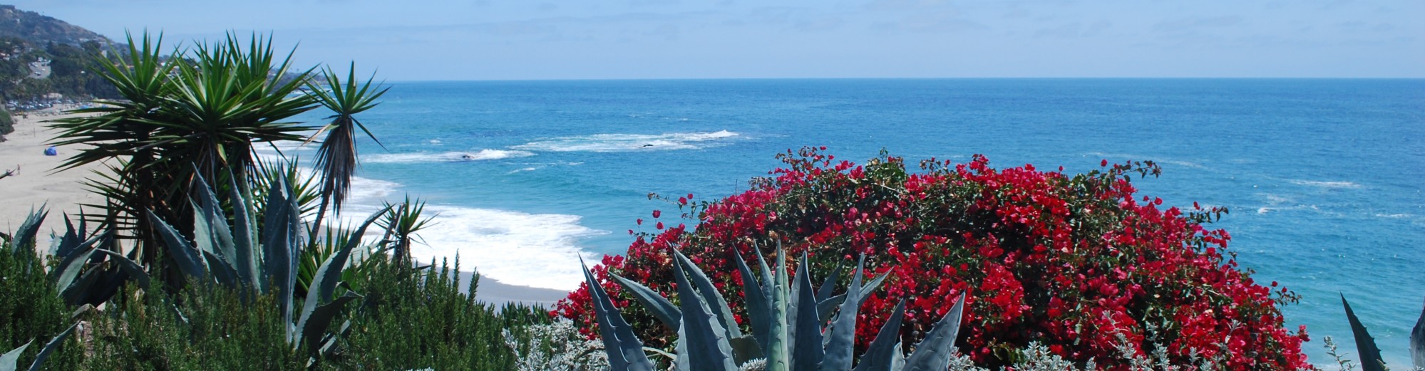 Christian Bible Study