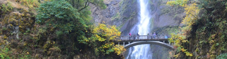 Christian Bible Study