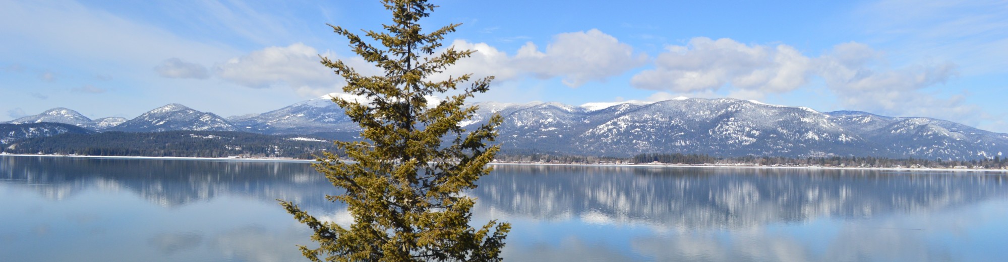 Christian Bible Study