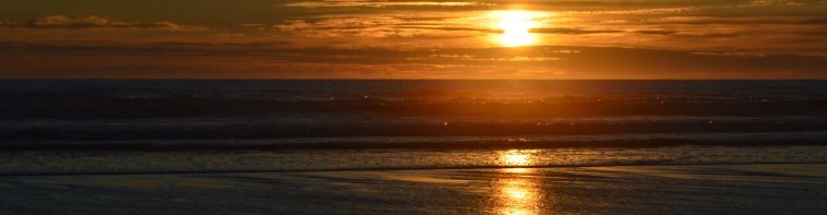 Christian Bible Study