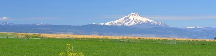 Christian Bible Study